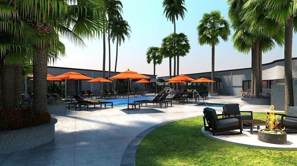The Palm Springs Hotel المظهر الخارجي الصورة